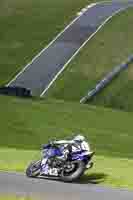 cadwell-no-limits-trackday;cadwell-park;cadwell-park-photographs;cadwell-trackday-photographs;enduro-digital-images;event-digital-images;eventdigitalimages;no-limits-trackdays;peter-wileman-photography;racing-digital-images;trackday-digital-images;trackday-photos
